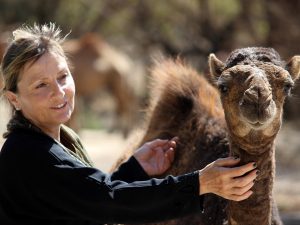 005 Kamele bestimmen noch immer das Beduinenleben - Kopie