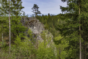 Wald riechen, schmecken, fühlen @ Parkplatz am Köpfchen im Steinbach-Hallenberger Ortsteil Unterschönau