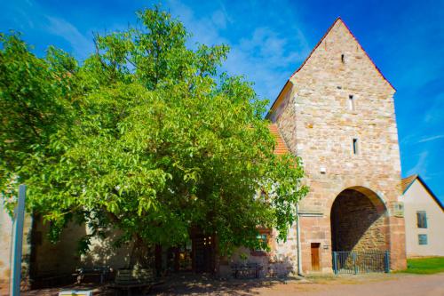 Kloster Veßra Hennebergisches Museum